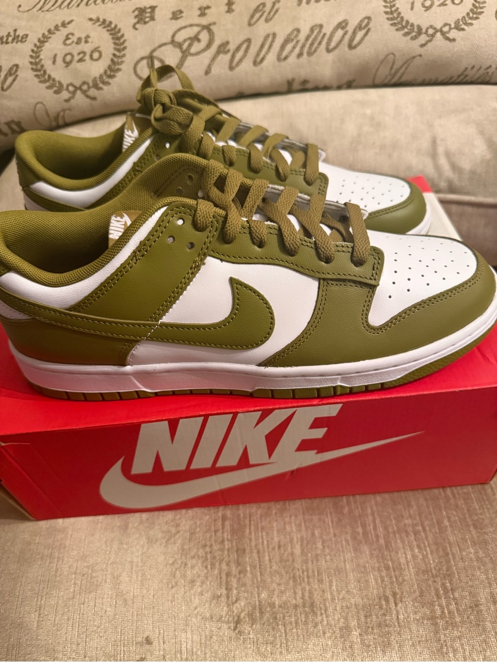 Nike DUNK LOW RETRO